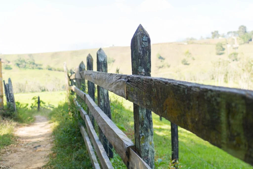A wooden fence denoting personal boundaries