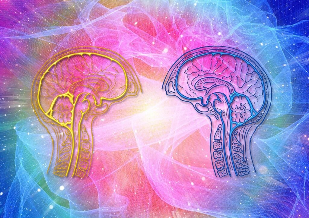 Abstract image of an illustration of 2 brains facing each other colourful