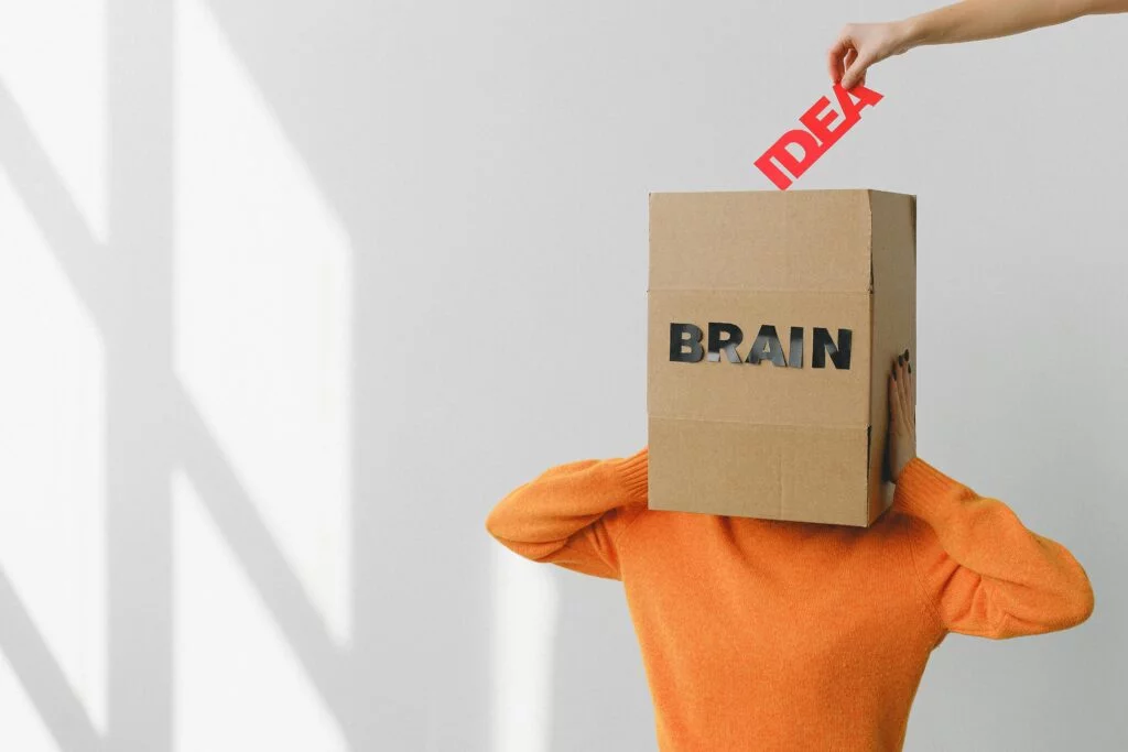 Putting Ideas into a closed box resembling brain